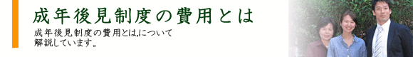 N㌩x̔pƂ