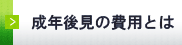 N㌩̔pƂ